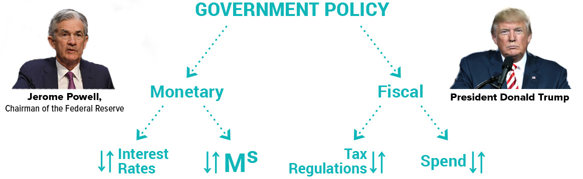 government policy